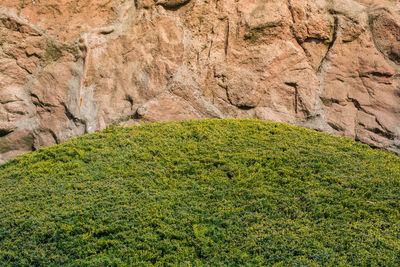 Scenic view of rocks on land
