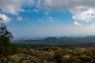 Scenic view of landscape against sky