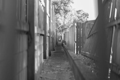 Man walking on alley amidst buildings