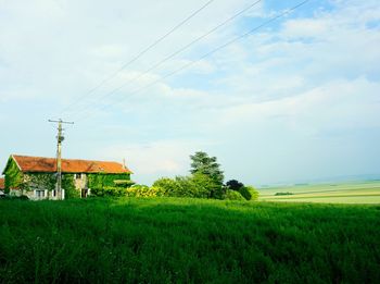 Scenic view of field against sky