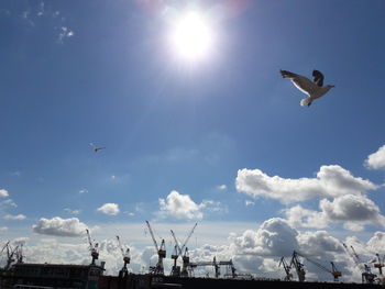 Low angle view of seagulls flying over harbor against cloudy sky