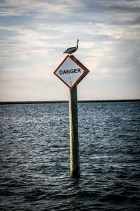 Pelican perching on danger sign over sea against sky