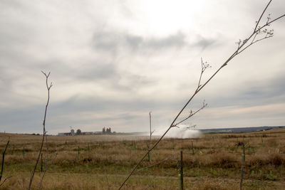 Scenic view of field against sky