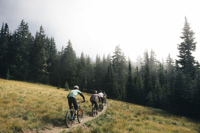 Four bikers ride through a meadow at mt. hood, oregon