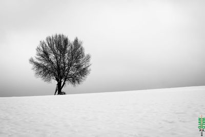 Bare tree on snow covered landscape against clear sky