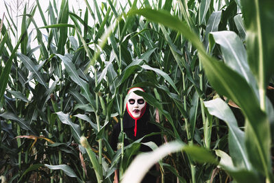 Unrecognizable person wearing masquerade mask and costume standing in cornfield and looking at camera