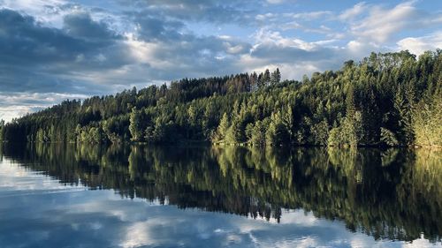 Scenic view of lake by trees against sky