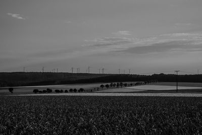 Scenic view of field against sky