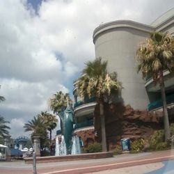 Palm trees in city against sky