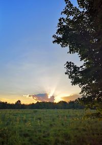 Scenic view of field against sky during sunset