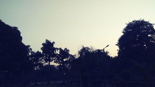 Silhouette trees against clear sky during sunset