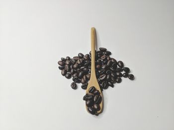 High angle view of coffee beans against white background