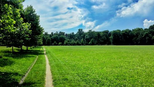 Scenic view of grassy field against sky