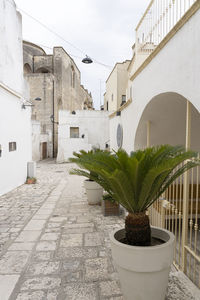 Alley amidst houses and buildings in city