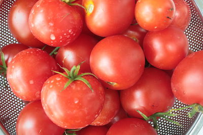 High angle view of tomatoes in container