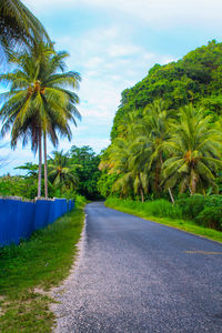 Road amidst trees against sky