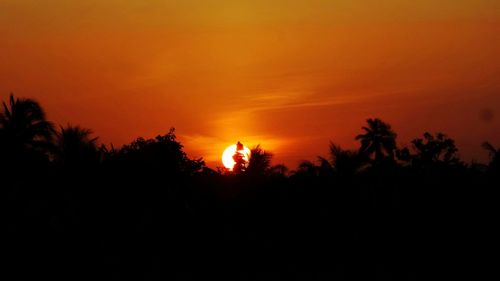 Silhouette of trees at sunset