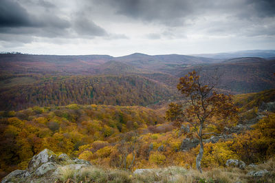 Scenic view of landscape against sky during autumn