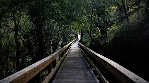 View of long wood footbridge in forest