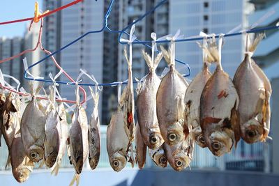 Close-up of fish for sale in market