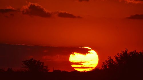 Silhouette of trees against sky at sunset