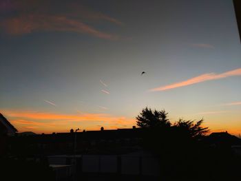 Silhouette birds flying against sky during sunset