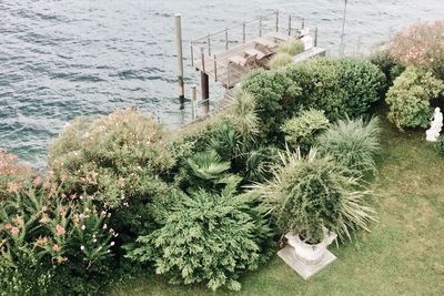 High angle view of plants by sea