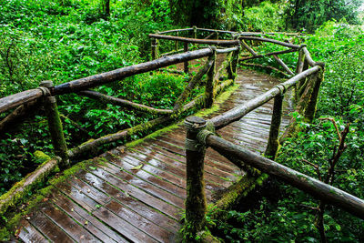 Wooden footbridge in forest