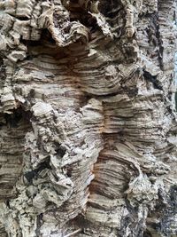geology