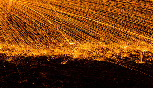 Close-up of illuminated field at night