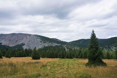 Scenic view of landscape and mountains against sky