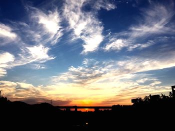 Silhouette of trees at sunset