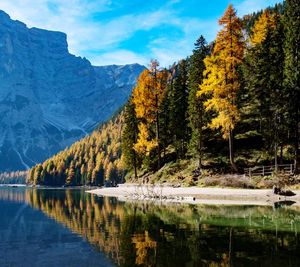 Scenic view of lake by trees against sky