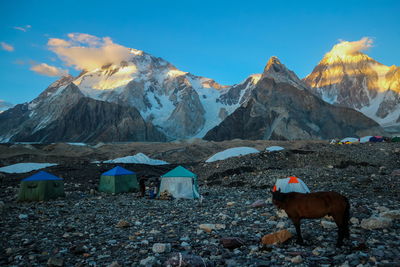 Camping tents at concordia camp, broadpeak mountain, k2 base camp, pakistan