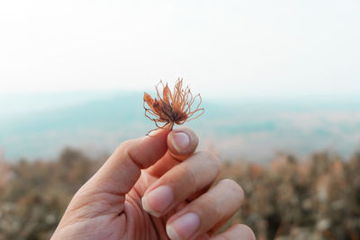 Close-up of hand holding flower against sky