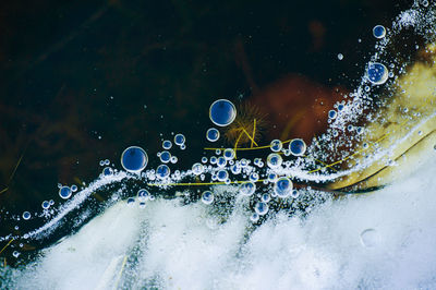 Close-up of bubbles in sea