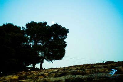 Trees on landscape against clear blue sky