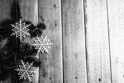 Close-up of christmas tree trunk