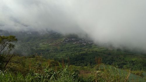 Scenic view of landscape against sky during foggy weather