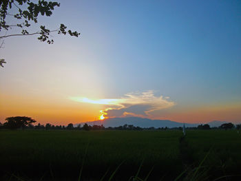 Scenic view of field against sky during sunset