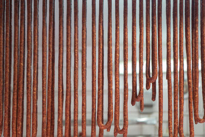 Close-up of raw food hanging outdoors