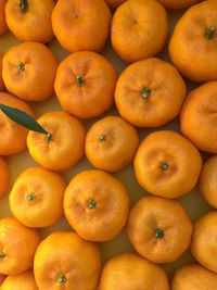 Full frame group of orange kishu mandarins from above at farmer's market