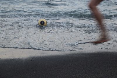 Low section of person on beach