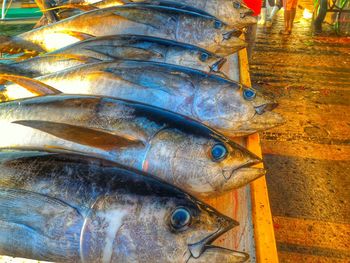 Close-up of fish for sale in market