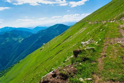 Scenic view of green landscape against sky