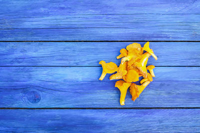 High angle view of yellow leaves on wooden table