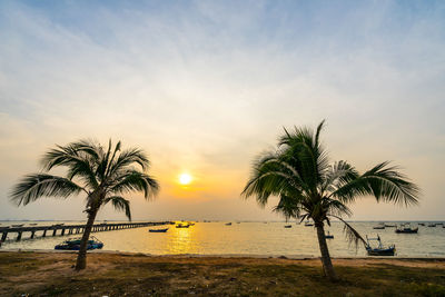 Palm tree by sea against sky at sunset