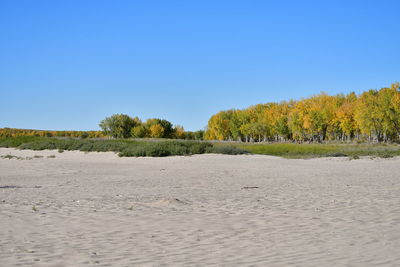 natural environment