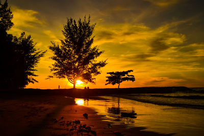 Silhouette trees by sea against sky during sunset