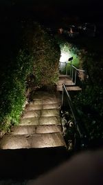 Steps amidst trees at night